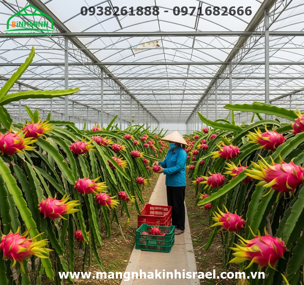 Màng Nhà Kính: Kiến Tạo Nông Sản Việt Sẵn Sàng Vươn Ra Biển Lớn